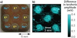 A photograph of the terahertz chemical microscope (TCM) sensing plate (a) shows immobilized sensing polymer membranes for sodium (Na+) and potassium (K+) ions. The TCM image (b) clearly indicates when the concentration of sodium ions in the water solution on the sensing plate was changed from 10-4 mol/L to 10-1 mol/L. A photograph of the terahertz chemical microscope (TCM) sensing plate (a) shows immobilized sensing polymer membranes for sodium (Na+) and potassium (K+) ions. The TCM image (b) clearly indicates when the concentration of sodium ions in the water solution on the sensing plate was changed from 10-4 mol/L to 10-1 mol/L.