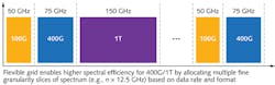 FIGURE 1. A flexible grid allows mixed channel spacing. FIGURE 1. A flexible grid allows mixed channel spacing.