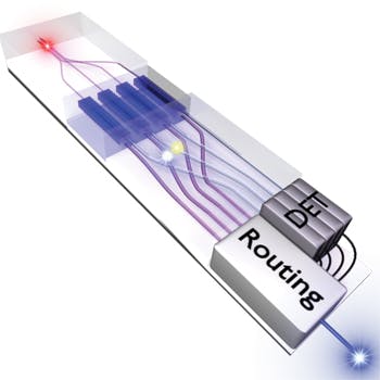 FIGURE 2. A conceptual image of a photonic source shows a circuit-detection network enabled by laser-inscribed waveguides [9].