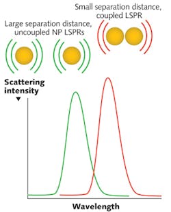 FIGURE 1. Plasmon resonant nanoparticles (NPs) illuminated with white light produce a localized surface plasmon resonance (LSPR, depicted by the green spectrum) that can be detected by an absorbance or scattering spectroscopic measurement. When plasmon resonant NPs are in close proximity, they display a red-shifted, coupled LSPR (depicted by the red spectrum). FIGURE 1. Plasmon resonant nanoparticles (NPs) illuminated with white light produce a localized surface plasmon resonance (LSPR, depicted by the green spectrum) that can be detected by an absorbance or scattering spectroscopic measurement. When plasmon resonant NPs are in close proximity, they display a red-shifted, coupled LSPR (depicted by the red spectrum).