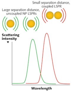 FIGURE 1. Plasmon resonant nanoparticles (NPs) illuminated with white light produce a localized surface plasmon resonance (LSPR, depicted by the green spectrum) that can be detected by an absorbance or scattering spectroscopic measurement. When plasmon resonant NPs are in close proximity, they display a red-shifted, coupled LSPR (depicted by the red spectrum).