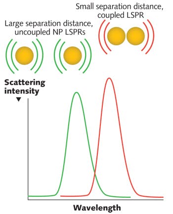 FIGURE 1. Plasmon resonant nanoparticles (NPs) illuminated with white light produce a localized surface plasmon resonance (LSPR, depicted by the green spectrum) that can be detected by an absorbance or scattering spectroscopic measurement. When plasmon resonant NPs are in close proximity, they display a red-shifted, coupled LSPR (depicted by the red spectrum).