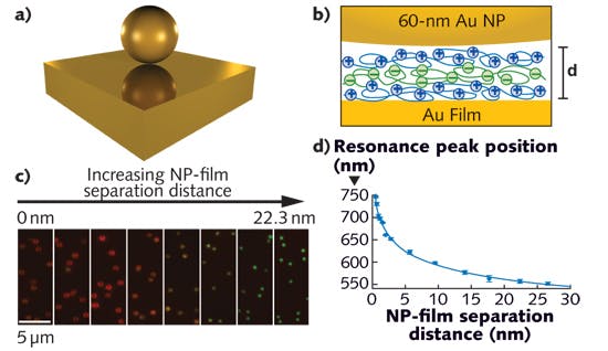 FIGURE 2. (a) Gold nanoparticles near gold film (NP film) are conceptually similar to NP dimer plasmon rulers, as the NP can be considered coupled to a virtual image dipole-induced within the metal film. (b) Molecular layers are used to create increasingly thick NP-film spacer layers and demonstrate the NP-film plasmon ruler effect, showing (c, d) that the coupled NP-film localized surface plasmon resonance blue-shifts with increasing NP-film separation distance.