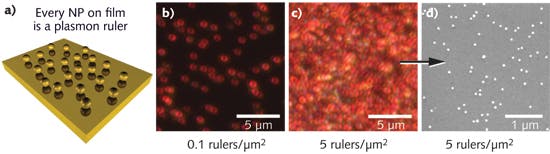 FIGURE 3. (a, b) Each nanoparticle (NP) that becomes immobilized to a gold film becomes a plasmon ruler with ~100% yield, which enables the use of (c, d) ensemble spectroscopic measurements from substrates containing a high surface coverage of active, uniform plasmon rulers.