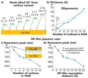 FIGURE 4. (a) The nanoparticle-film (NP-film) plasmon ruler rivals ellipsometry when used to measure ultrathin self-assembled monolayers (SAMs) of amine-terminated alkane thiols. (b) Ellipsometry qualitatively detects the presence of all but the thinnest molecular layers tested and also underestimates the thicknesses of layers that are theoretically less than ~1.5 nm [theoretical dimensions are listed in (a) and plotted as a dashed line in (b)]. (c, d) The NP-film plasmon ruler detects all the layers, including the thinnest layer. &apos;Number of Carbons&apos; refers to those in the amine-terminated alkane thiol used to create each SAM. Theoretical SAM thicknesses are used to generate the plot in (d).