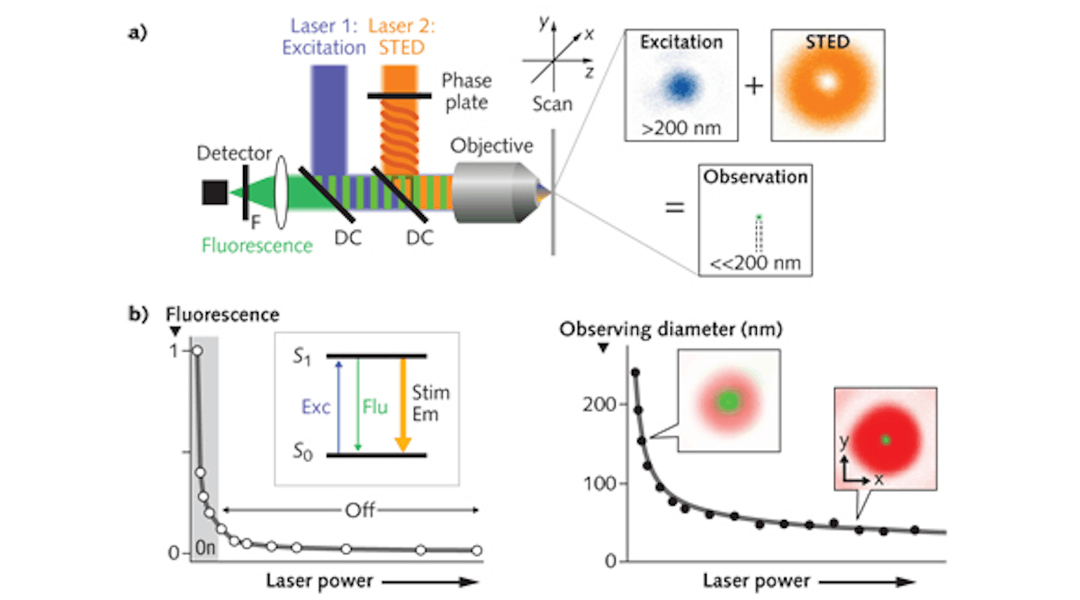 FIGURE 1. STED microscopy overlaps a donut-shaped beam (for spatially selective photobleaching) with a Gaussian beam for fluorescence excitation. As the STED beam intensity is increased, it smoothly constricts the non-bleached area of the sample beyond the diffraction limit.