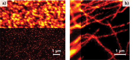 FIGURE 2. Gated STED (gSTED) imaging with a 577 nm OPSL. Scanning confocal and gSTED images of a) 40 nm fluorescent yellow-green beads and b) microtubule in mammalian cells immunostained with Alexa 488. Spatial resolution in A is 50 nm.