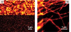 FIGURE 2. Gated STED (gSTED) imaging with a 577 nm OPSL. Scanning confocal and gSTED images of a) 40 nm fluorescent yellow-green beads and b) microtubule in mammalian cells immunostained with Alexa 488. Spatial resolution in A is 50 nm. FIGURE 2. Gated STED (gSTED) imaging with a 577 nm OPSL. Scanning confocal and gSTED images of a) 40 nm fluorescent yellow-green beads and b) microtubule in mammalian cells immunostained with Alexa 488. Spatial resolution in A is 50 nm.