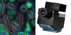FIGURE 1. Headwall Photonics' hyperspectral imaging device (right) reveals spatial and spectroscopic features of tissues, such as these cancerous kidney cells (left). FIGURE 1. Headwall Photonics' hyperspectral imaging device (right) reveals spatial and spectroscopic features of tissues, such as these cancerous kidney cells (left).