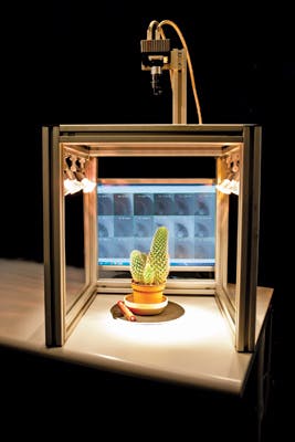 FIGURE 2. A hyperspectral imaging system from imec shows that a same sample&mdash;in this case, a cactus&mdash;looks different when scanned at different wavelengths.