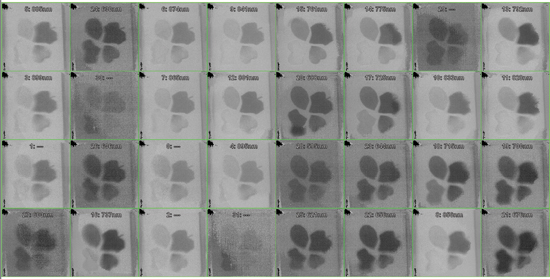 Raw sensor output of imec's 32 wavelength tiled-snapshot multispectral imagers, showing the simultaneous capture of 32 images at different wavelengths of a test scene. A standard objective lens, combined with a custom optical duplicator, images all objects in front of the camera in parallel on the 32 spectral tiles of the imager.