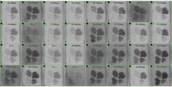 Raw sensor output of imec's 32 wavelength tiled-snapshot multispectral imagers, showing the simultaneous capture of 32 images at different wavelengths of a test scene. A standard objective lens, combined with a custom optical duplicator, images all objects in front of the camera in parallel on the 32 spectral tiles of the imager. Raw sensor output of imec's 32 wavelength tiled-snapshot multispectral imagers, showing the simultaneous capture of 32 images at different wavelengths of a test scene. A standard objective lens, combined with a custom optical duplicator, images all objects in front of the camera in parallel on the 32 spectral tiles of the imager.