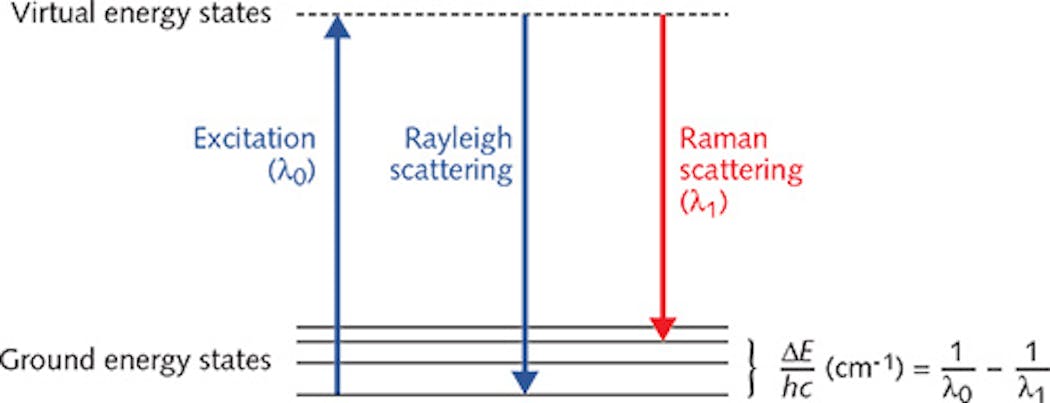 FIGURE 1. Rayleigh and Raman scattering differ in terms of associated energy states resulting from light-tissue interaction. Laser light excites a molecule to what is referred to as a virtual energy state. Raman scattering results when light is scattered at a different wavelength than the excitation wavelength, indicating a change in energy (&Delta;E) between the excitation and scattered light. The change in energy is typically expressed in relative wavenumbers (cm-1). Planck&apos;s constant and the speed of light are represented by the symbols h and c, respectively.