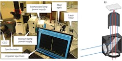 FIGURE 3. The Raman microscope setup (a) and a schematic that illustrates the laser light path (blue lines) and light collection path (red lines) through a filter cube to the spectrometer (b).