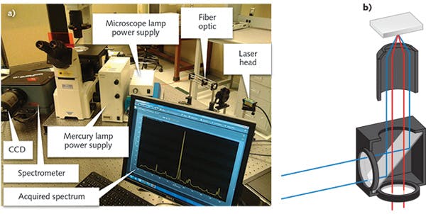FIGURE 3. The Raman microscope setup (a) and a schematic that illustrates the laser light path (blue lines) and light collection path (red lines) through a filter cube to the spectrometer (b).