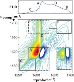 FIGURE 2. In the 2DQuick 2D IR spectrometer from PhaseTech Spectroscopy (Madison, WI), an amplifier such as Coherent's Astrella is used to pump an optical parametric amplifier (OPA) that can then produce broadband IR pulses (>150 cm-1) tunable over the range of 2.6 to 11 μm by difference-frequency generation (DFG). Here, an FTIR instrument has captured an IR spectrum of the amylin polypeptide associated with type 2 diabetes (top). In contrast, a 2D IR spectrum (bottom), with regions highlighted by boxes that correspond to peptide secondary structures, shows far more information. Peak C is created by an isotope label at Ala-13. Its cross peaks to A and B but not D reveal that it is located in a β-sheet of the fiber. FIGURE 2. In the 2DQuick 2D IR spectrometer from PhaseTech Spectroscopy (Madison, WI), an amplifier such as Coherent's Astrella is used to pump an optical parametric amplifier (OPA) that can then produce broadband IR pulses (>150 cm-1) tunable over the range of 2.6 to 11 μm by difference-frequency generation (DFG). Here, an FTIR instrument has captured an IR spectrum of the amylin polypeptide associated with type 2 diabetes (top). In contrast, a 2D IR spectrum (bottom), with regions highlighted by boxes that correspond to peptide secondary structures, shows far more information. Peak C is created by an isotope label at Ala-13. Its cross peaks to A and B but not D reveal that it is located in a β-sheet of the fiber.