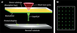 FIGURE 1. Laser pulses evaporate an absorption layer locally; the vapor pressure propels subjacent biomaterial—cells embedded in hydrogel—as a liquid jet toward the receiver substrate. The jet lasts a few hundred microseconds, but a droplet remains (a). The microscopic image (b) shows droplets with fluorescent cells.