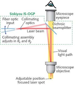 FIGURE 1. Optomechanical modules such as the Siskiyou IS-OGP provide a cost-effective method of integrating an externally controllable, secondary light source into conventional trinocular microscopes. A 45° dichroic, bandpass, or other beamsplitter is held in a compact slider assembly that mechanically dovetails between the microscope body and the trinocular head. The slider allows seamless insertion and retraction of the beamsplitter from the microscope optical path, or even swapping for another beamsplitter. FIGURE 1. Optomechanical modules such as the Siskiyou IS-OGP provide a cost-effective method of integrating an externally controllable, secondary light source into conventional trinocular microscopes. A 45° dichroic, bandpass, or other beamsplitter is held in a compact slider assembly that mechanically dovetails between the microscope body and the trinocular head. The slider allows seamless insertion and retraction of the beamsplitter from the microscope optical path, or even swapping for another beamsplitter.