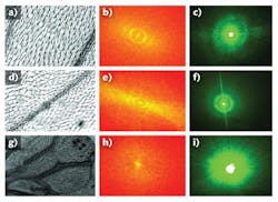 A fly wing&apos;s far-field diffraction pattern in transmission is captured and compared with small-scale images from a scanning electron microscope (SEM; right). (a), (d), and (g) show SEM images of the wing for a wild-type unmutated wing, a Cyo wing mutation, and a vg mutation, respectively (two different mutations that produce curly wings or generate small stumpy wing rudiments). (b), (e), and (h) are fast Fourier transforms (FFTs) of the corresponding SEM images. (c), (f), and (i) are the optical diffraction patterns for the corresponding mutations, captured using a green laser.