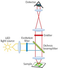 FIGURE 1. Fluorescence microscopy systems typically include an excitation filter, an emission filter, and a dichroic beamsplitter. FIGURE 1. Fluorescence microscopy systems typically include an excitation filter, an emission filter, and a dichroic beamsplitter.