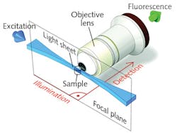 FIGURE 2. Fluorescence light sheet microscopy uses orthogonal paths for illumination and detection. FIGURE 2. Fluorescence light sheet microscopy uses orthogonal paths for illumination and detection.