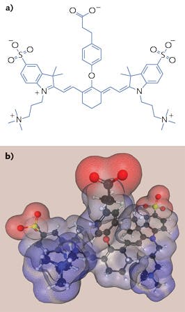FIGURE 3. The carboxylic acid form of zwitterionic NIR fluorophore ZW800-1 (CAS #1239619-02-3) in two dimensions (a) and 3D with positive (red) and negative (blue) charges geometrically and electrically balanced over the molecular surface (b).