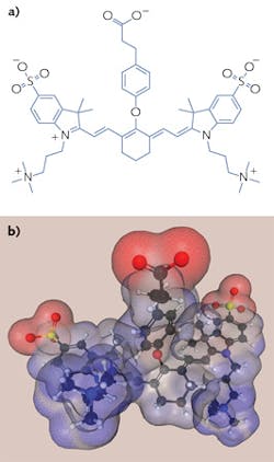 FIGURE 3. The carboxylic acid form of zwitterionic NIR fluorophore ZW800-1 (CAS #1239619-02-3) in two dimensions (a) and 3D with positive (red) and negative (blue) charges geometrically and electrically balanced over the molecular surface (b). FIGURE 3. The carboxylic acid form of zwitterionic NIR fluorophore ZW800-1 (CAS #1239619-02-3) in two dimensions (a) and 3D with positive (red) and negative (blue) charges geometrically and electrically balanced over the molecular surface (b).