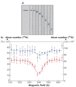 FIGURE 2. A time-of-flight picture (a) shows a BEC of 41K that was loaded into an optical dipole trap. Images of the BEC are taken in 2 ms intervals after suddenly turning off the optical trap and allowing the atoms to freely expand. A Feshbach scan was taken of a 41K–40K Bose-Fermi mixture loaded into an optical trap. Blue and red data points represent 41K and 40K atom numbers after 3 s of hold time in the dipole trap exposed to a uniform external magnetic field. FIGURE 2. A time-of-flight picture (a) shows a BEC of 41K that was loaded into an optical dipole trap. Images of the BEC are taken in 2 ms intervals after suddenly turning off the optical trap and allowing the atoms to freely expand. A Feshbach scan was taken of a 41K–40K Bose-Fermi mixture loaded into an optical trap. Blue and red data points represent 41K and 40K atom numbers after 3 s of hold time in the dipole trap exposed to a uniform external magnetic field.
