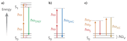 FIGURE 1. Energy diagrams for selected multiphoton microscopy modalities: a) two-photon excited fluorescence (TPEF), b) second harmonic generation (SHG), and c) coherent anti-Stokes Raman scattering (CARS). FIGURE 1. Energy diagrams for selected multiphoton microscopy modalities: a) two-photon excited fluorescence (TPEF), b) second harmonic generation (SHG), and c) coherent anti-Stokes Raman scattering (CARS).