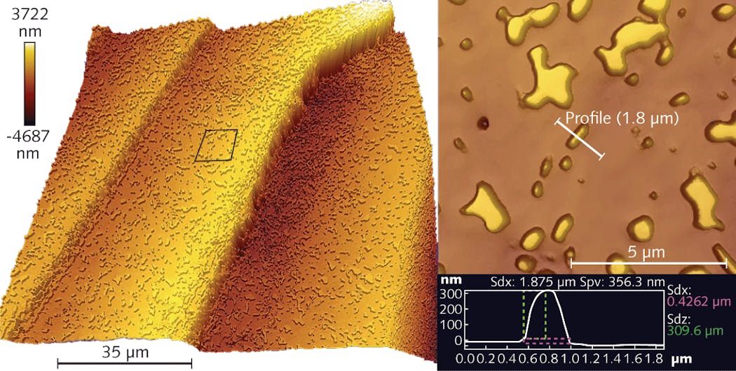 FIGURE 2. A 95 &times; 95 &micro;m map of a bio-film of shewanella onoidensis MR-1 bacteria on a cleaved calcite surface (the calcite cleavage terraces can also be seen) shows an isolated single bacteria on the zoomed-up section and in the profile (top; map courtesy of Everett Salas and Andreas Luttge, Department of Earth Science, Rice University). A single 3-D map speeds inspection of a microlens array on a CMOS imager (bottom); the lens size is 4.5 &times; 4.5 &micro;m.
