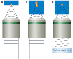 FIGURE 1. The spot generated when imaging at the first surface of the sample, where essentially no aberrations exist, is close to diffraction-limited (a). The spot generated when focusing deeper into the sample is enlarged by the aberrations present in the sample (b). By precompensating the sample aberrations with a DM, the spot can be restored to nearly diffraction-limited (c). FIGURE 1. The spot generated when imaging at the first surface of the sample, where essentially no aberrations exist, is close to diffraction-limited (a). The spot generated when focusing deeper into the sample is enlarged by the aberrations present in the sample (b). By precompensating the sample aberrations with a DM, the spot can be restored to nearly diffraction-limited (c).