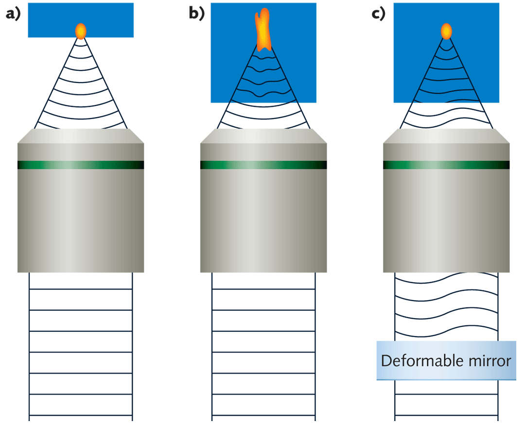 FIGURE 1. The spot generated when imaging at the first surface of the sample, where essentially no aberrations exist, is close to diffraction-limited (a). The spot generated when focusing deeper into the sample is enlarged by the aberrations present in the sample (b). By precompensating the sample aberrations with a DM, the spot can be restored to nearly diffraction-limited (c).