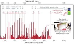FIGURE 3. A single laser source matches the absorption wavelengths of the Alexa Fluor family of dye biological markers. FIGURE 3. A single laser source matches the absorption wavelengths of the Alexa Fluor family of dye biological markers.