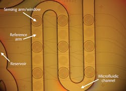 A grid of silicon photonic-wire spiral waveguide elements and an integrated microfluidic channel form a biosensing array. The top six sensors were used in the experiment (the bottom three are for separate tests). A grid of silicon photonic-wire spiral waveguide elements and an integrated microfluidic channel form a biosensing array. The top six sensors were used in the experiment (the bottom three are for separate tests).