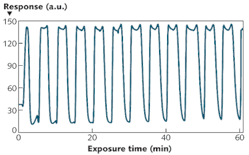 FIGURE 4. The NLC-based MMP sensors are reversible once the target analyte is removed. Here, a sensor was exposed to alternating streams of 125 ppb DMMP (2 min) and zero air (3 min) for 12 cycles. FIGURE 4. The NLC-based MMP sensors are reversible once the target analyte is removed. Here, a sensor was exposed to alternating streams of 125 ppb DMMP (2 min) and zero air (3 min) for 12 cycles.