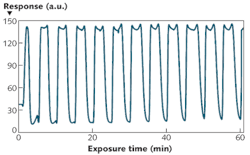 FIGURE 4. The NLC-based MMP sensors are reversible once the target analyte is removed. Here, a sensor was exposed to alternating streams of 125 ppb DMMP (2 min) and zero air (3 min) for 12 cycles. FIGURE 4. The NLC-based MMP sensors are reversible once the target analyte is removed. Here, a sensor was exposed to alternating streams of 125 ppb DMMP (2 min) and zero air (3 min) for 12 cycles.