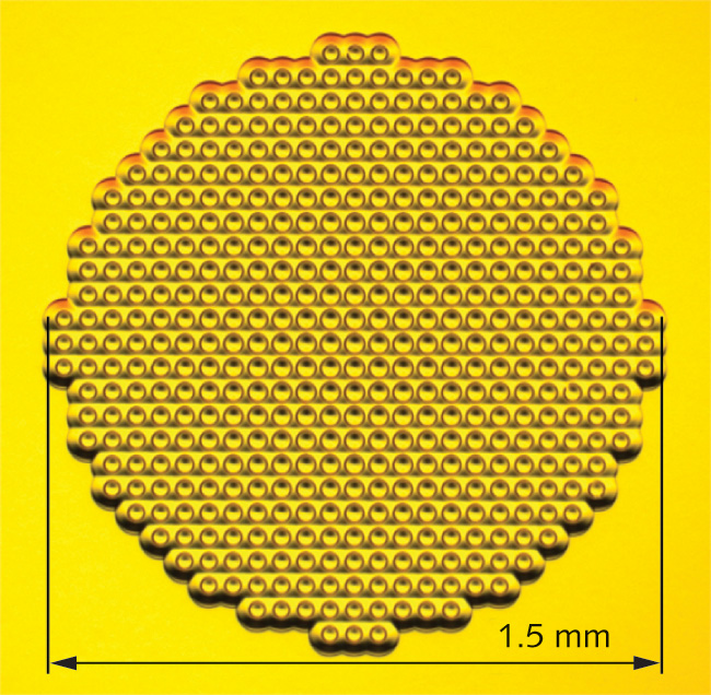 metamaterials torchlight