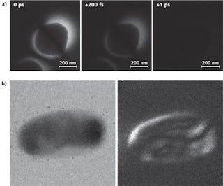 Photon-induced near-field electron microscopy (PINEM) images show a protein vesicle at t = 0 fs, t = 200 fs, and t = 1 ps (a). A transmission electron microscopy (TEM) image of an E. coli cell (b, left) is contrasted with a label-free (no contrast agents used) image of the same cell using PINEM (b, right) at a magnification of 19,000X.
