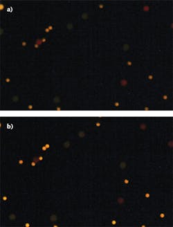 FIGURE 1. In fluorescence microscopy, subtle product or specification variations can yield marked differences as demonstrated by imaging a sample using OD4 (a) versus OD6 (b) filters.