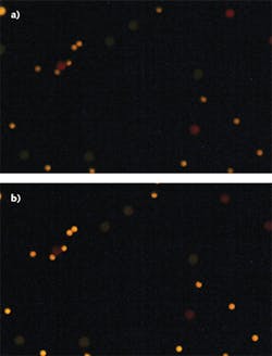 FIGURE 1. In fluorescence microscopy, subtle product or specification variations can yield marked differences as demonstrated by imaging a sample using OD4 (a) versus OD6 (b) filters. FIGURE 1. In fluorescence microscopy, subtle product or specification variations can yield marked differences as demonstrated by imaging a sample using OD4 (a) versus OD6 (b) filters.