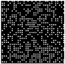 FIGURE 1. A pixel pattern on a DMD forms a modified scrambled-block Hadamard ensemble; black is 'off' and white is 'on.' FIGURE 1. A pixel pattern on a DMD forms a modified scrambled-block Hadamard ensemble; black is 'off' and white is 'on.'