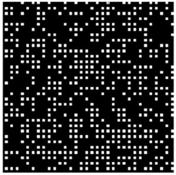 FIGURE 1. A pixel pattern on a DMD forms a modified scrambled-block Hadamard ensemble; black is &apos;off&apos; and white is &apos;on.&apos;