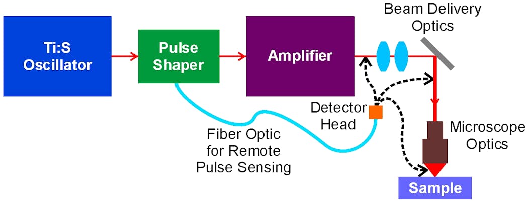 FIGURE 4. The most common location for a pulse-shaping system is between the oscillator and amplifier. But the fiber-coupled MIIPS detector head means that it can be inserted at any arbitrary location in the laser system or delivery optics, and the phase and/or amplitude will be reshaped at that point.
