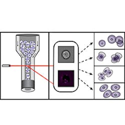 Content Dam Bow Online Articles 2016 01 Grafik Content Dam Bow Online Articles 2016 01 Grafik