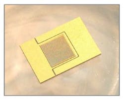 Content Dam Lfw Online Articles 2016 01 Princeton Opt Web Content Dam Lfw Online Articles 2016 01 Princeton Opt Web