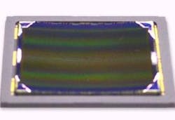 Curved Fig1 Curved Fig1