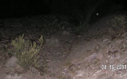 Ghost Orbs Gail Ghost Orbs Gail