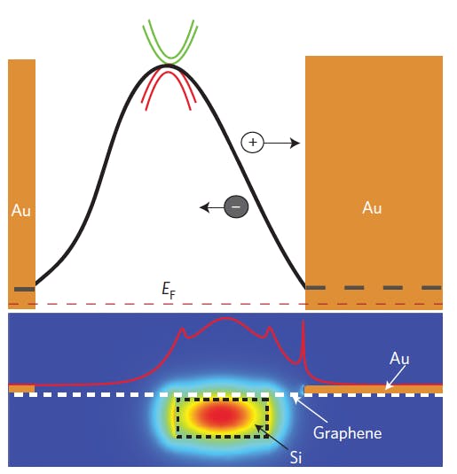 Field distribution of light passing through silicon waveguide overlaps with graphene layer at bottom. Asymmetric spacing of electrodes helps separate electrons and holes generated in the graphene.