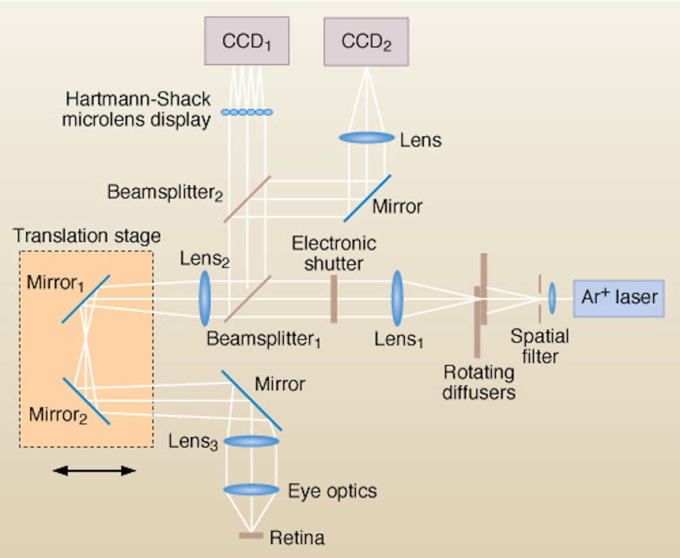 Retinal scanner works without adaptive optics | Laser Focus World