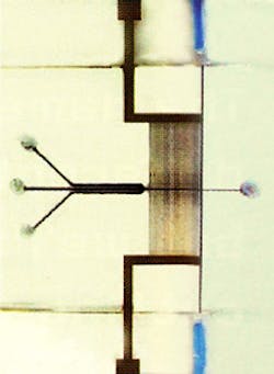 Lfw 2003 12 Buried Lfw 2003 12 Buried